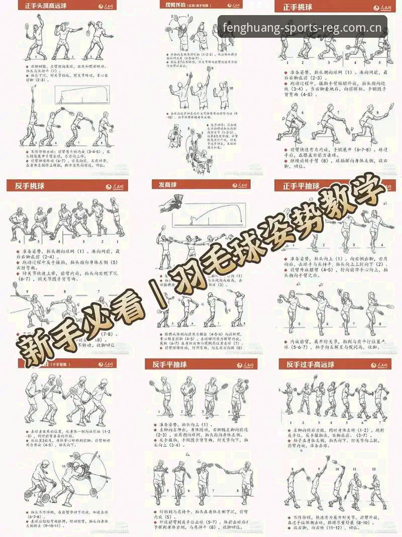 掌握凤凰体育最新版本的五大实用技巧，新手也能快速上手
